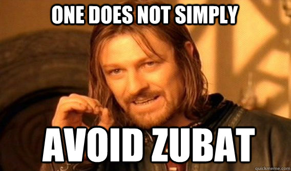 One does not simply avoid zubat - One does not simply avoid zubat  Boromir