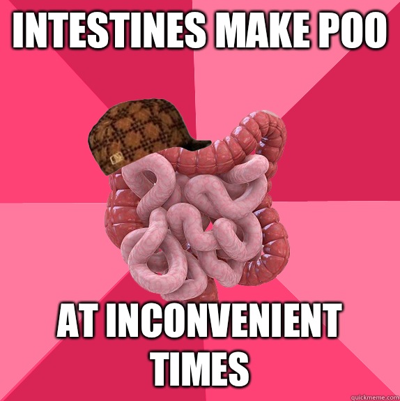 Intestines make poo At inconvenient times  Scumbag Intestines