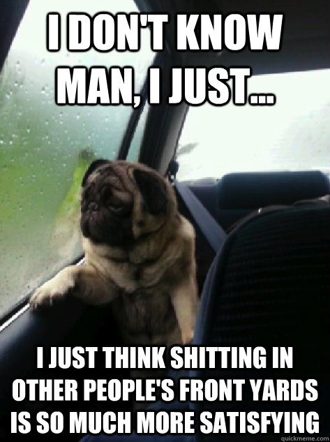 I don't know man, I just... i just think shitting in other people's front yards is so much more satisfying  Introspective Pug