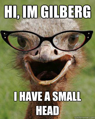 Hi, im Gilberg I have a small head - Hi, im Gilberg I have a small head  Judgmental Bookseller Ostrich