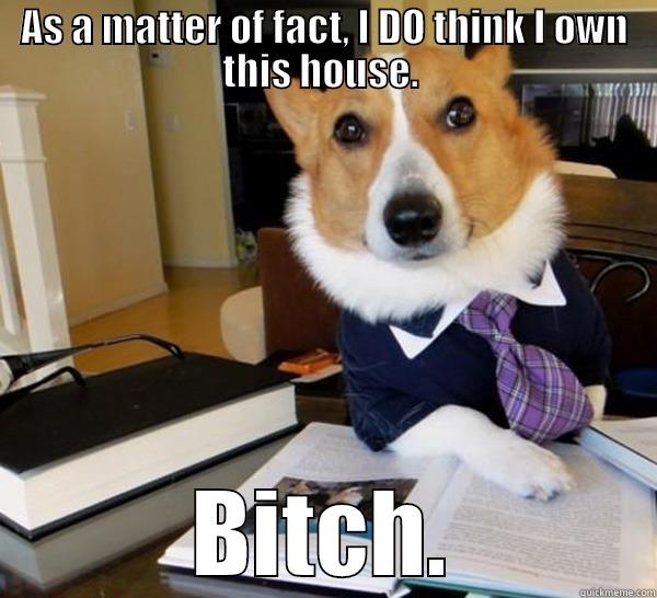 AS A MATTER OF FACT, I DO THINK I OWN THIS HOUSE.  BITCH. Lawyer Dog