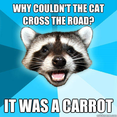 WHY COULDN'T THE CAT CROSS THE ROAD? IT WAS A CARROT - WHY COULDN'T THE CAT CROSS THE ROAD? IT WAS A CARROT  Lame Pun Coon