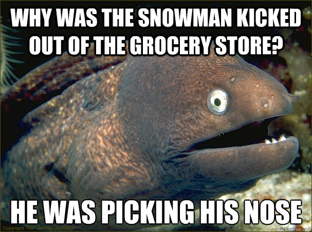 Why was the snowman kicked out of the grocery store? He was picking his nose  Bad Joke Eel