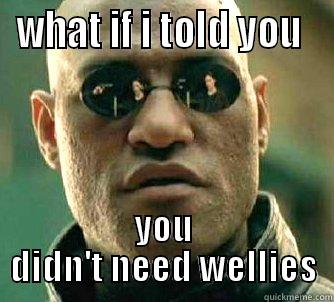 why am i continuing - WHAT IF I TOLD YOU  YOU DIDN'T NEED WELLIES Matrix Morpheus