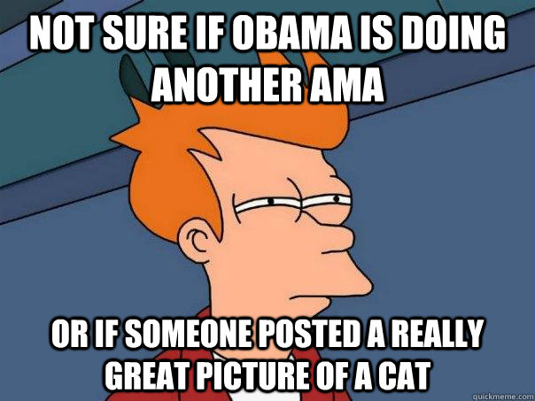 Not sure if Obama is doing another AMA Or if someone posted a really great picture of a cat  Futurama Fry