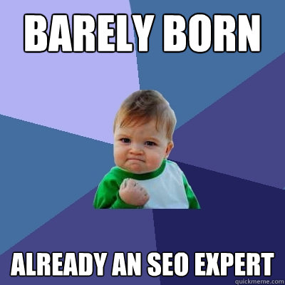 Barely Born Already an SEO Expert - Barely Born Already an SEO Expert  Success Kid