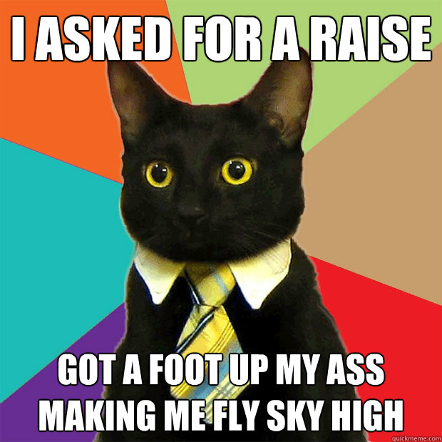 I asked for a raise Got a foot up my ass making me fly sky high  Business Cat