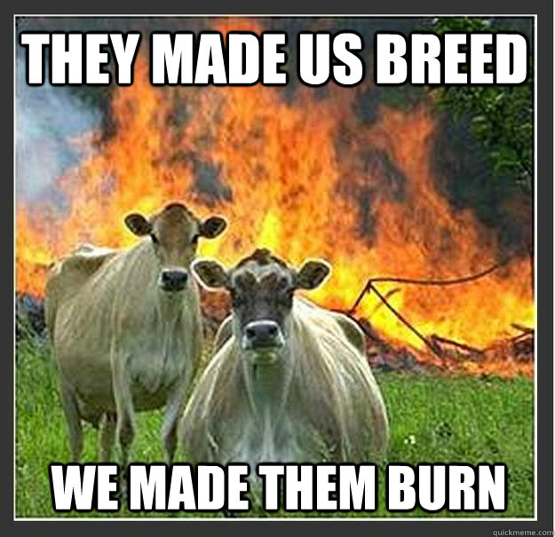 They made us breed we made them burn - They made us breed we made them burn  Evil cows