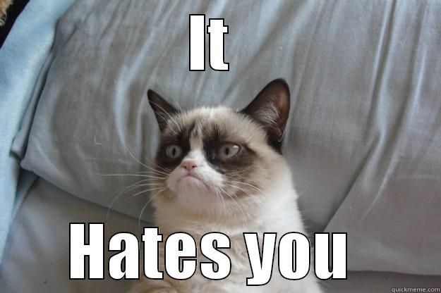 IT  HATES YOU  Grumpy Cat