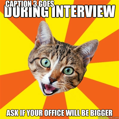 During interview ask if your office will be bigger Caption 3 goes here  Bad Advice Cat