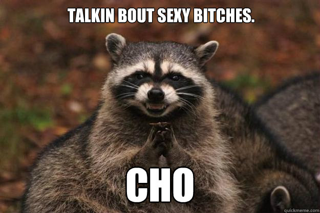 Talkin bout sexy bitches. Cho  - Talkin bout sexy bitches. Cho   Evil Plotting Raccoon