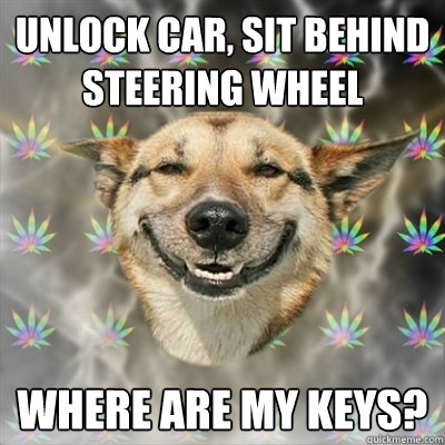 unlock car, sit behind steering wheel Where are my keys?  Stoner Dog