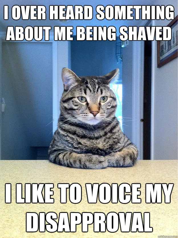 I over heard something about me being shaved I like to voice my disapproval  Chris Hansen Cat