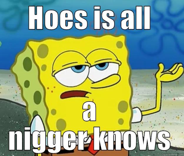 HOES IS ALL A NIGGER KNOWS Tough Spongebob