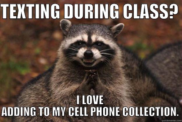 TEXTING DURING CLASS?  I LOVE ADDING TO MY CELL PHONE COLLECTION. Evil Plotting Raccoon