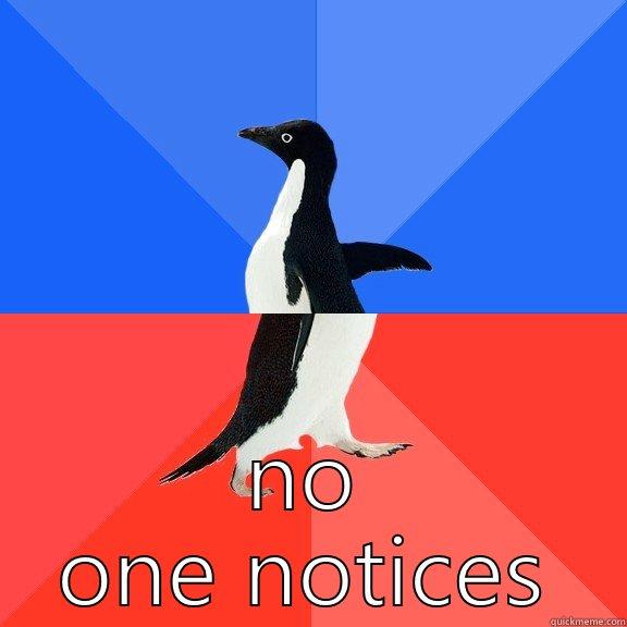  NO ONE NOTICES Socially Awkward Awesome Penguin