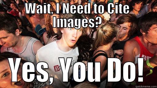 Image Citation - WAIT, I NEED TO CITE IMAGES? YES, YOU DO! Sudden Clarity Clarence