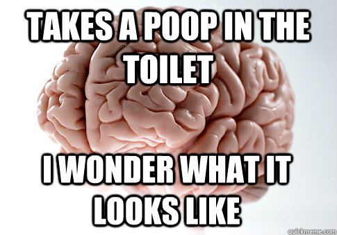 Takes a poop in the toilet  I wonder what it looks like   Scumbag Brain