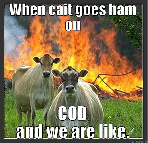 WHEN CAIT GOES HAM ON COD AND WE ARE LIKE. Evil cows