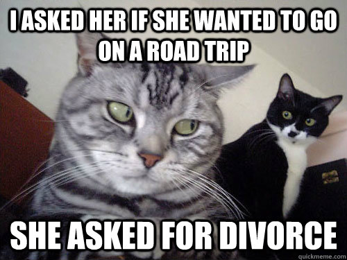 I asked her if she wanted to go on a road trip she asked for divorce - I asked her if she wanted to go on a road trip she asked for divorce  Redditor cat wife