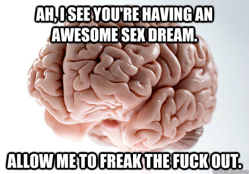 Ah, i see you're having an awesome sex dream. Allow me to freak the fuck out.  Scumbag Brain