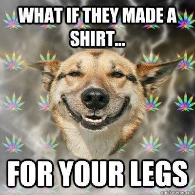 What if they made a shirt... for your legs  Stoner Dog