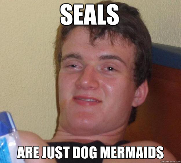 Seals Are just dog mermaids  10 Guy