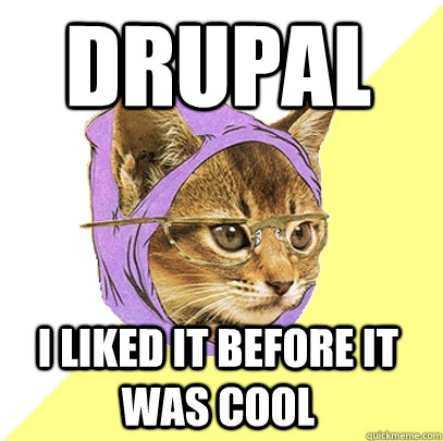 Drupal I Liked it before it was cool - Drupal I Liked it before it was cool  Hipster Kitty