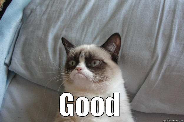 IDC Good -  GOOD Grumpy Cat