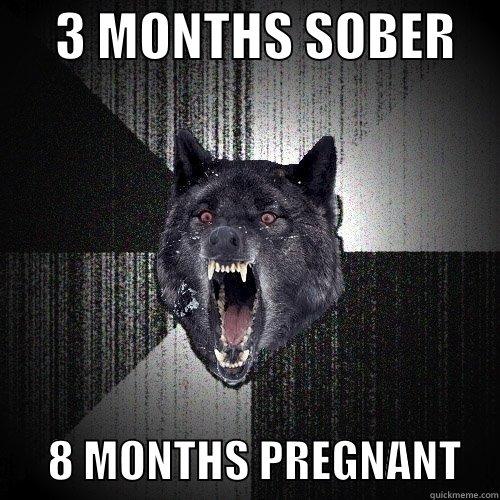      3 MONTHS SOBER           8 MONTHS PREGNANT    Insanity Wolf