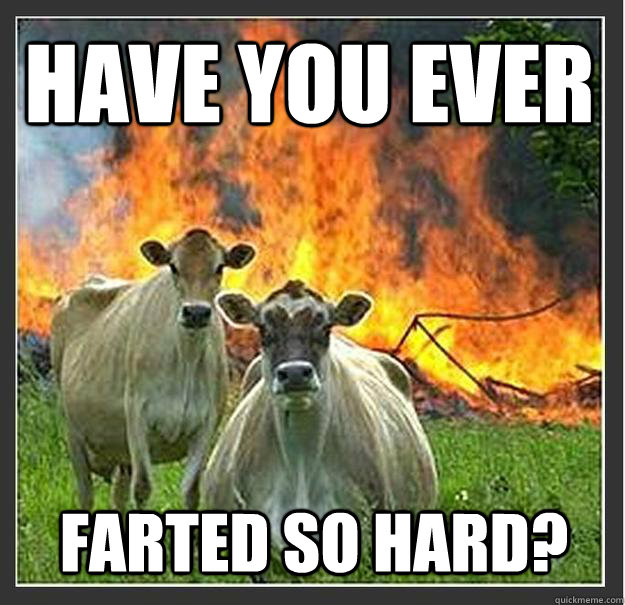 have you ever farted so hard?  Evil cows