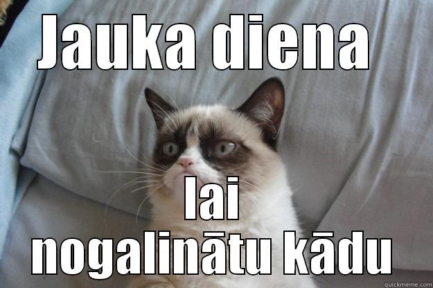 JAUKA DIENA  LAI NOGALINĀTU KĀDU Grumpy Cat