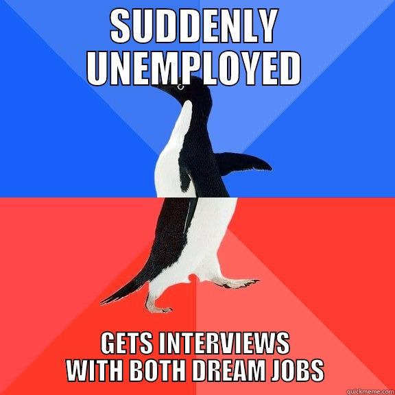 SUDDENLY UNEMPLOYED GETS INTERVIEWS WITH BOTH DREAM JOBS Socially Awkward Awesome Penguin