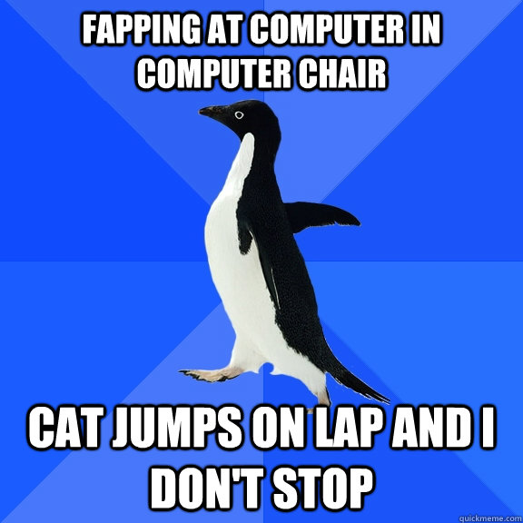 Fapping at computer in computer chair cat jumps on lap and I don't stop  Socially Awkward Penguin