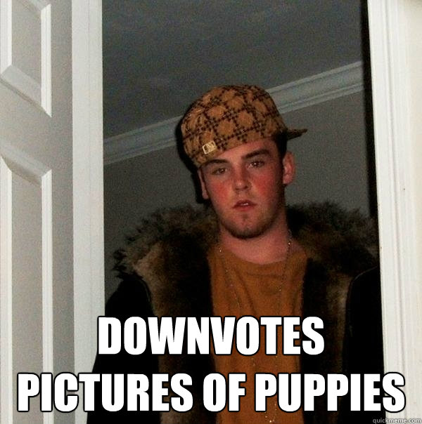  Downvotes pictures of puppies  Scumbag Steve