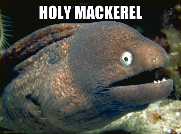 holy Mackerel  - holy Mackerel   Bad Joke Eel