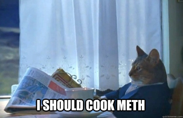 I should cook meth  Sophisticated Cat