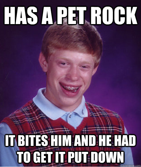 Has a Pet rock It bites him and he had to get it put down  Bad Luck Brian