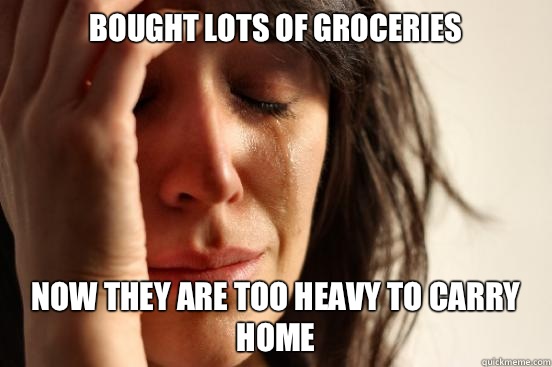 Bought lots of groceries Now they are too heavy to carry home  First World Problems