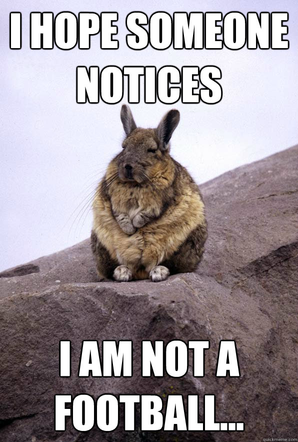 I hope someone notices I am not a Football...  Wise Wondering Viscacha