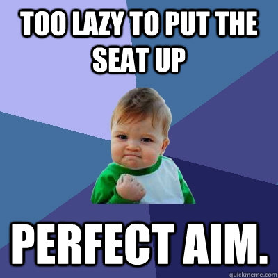 Too lazy to put the seat up perfect aim.  Success Kid