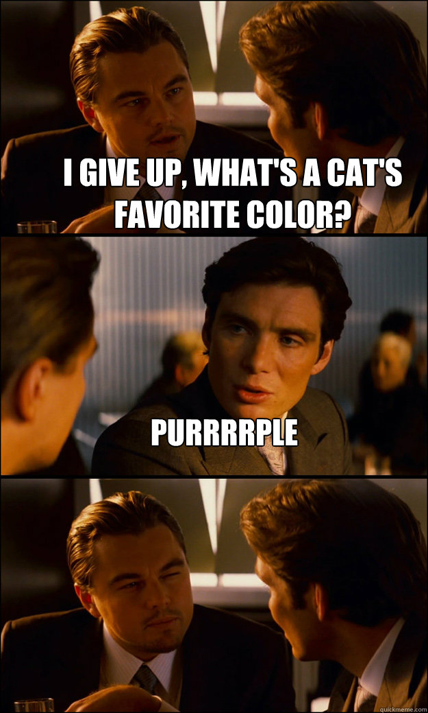 I give up, what's a cat's favorite color? Purrrrple  - I give up, what's a cat's favorite color? Purrrrple   Inception