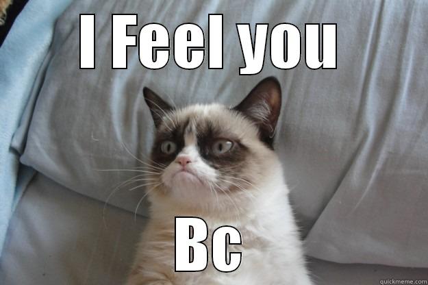 I Feel you BC - I FEEL YOU BC Grumpy Cat