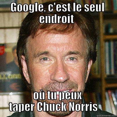 Google, c'est le seul - GOOGLE, C'EST LE SEUL ENDROIT  OÙ TU PEUX TAPER CHUCK NORRIS     Misc