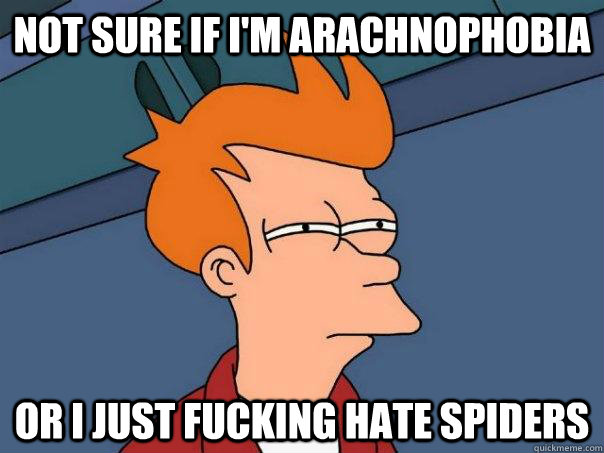 not sure if I'm arachnophobia  or i just fucking hate spiders   Futurama Fry