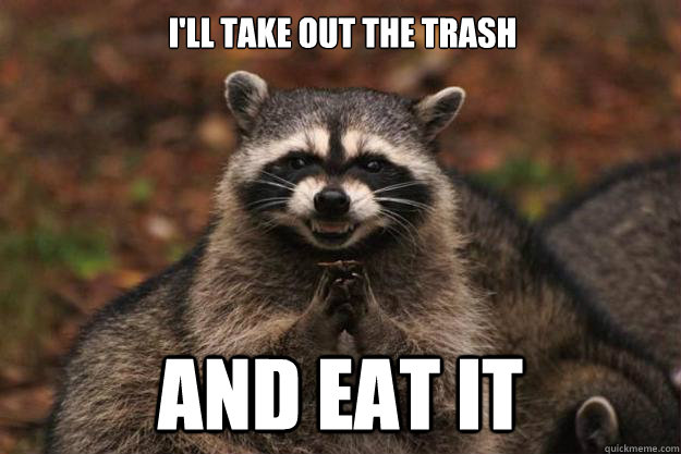 i'll take out the trash and eat it  Evil Plotting Raccoon