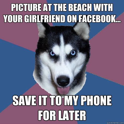 Picture at the beach with your girlfriend on facebook... Save it to my phone for later  Creeper Canine