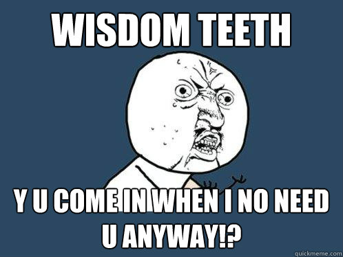 Wisdom Teeth y u come in when i no need u anyway!?  Y U No