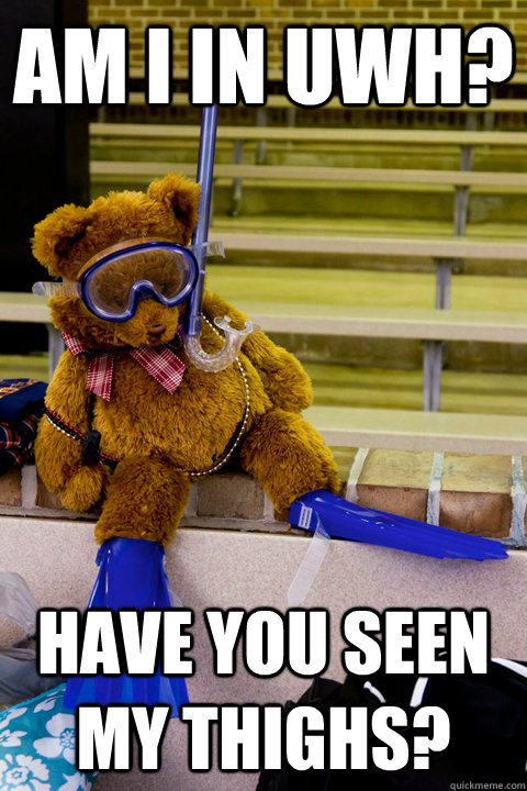 Am I in uwh? Have you seen my thighs? - Am I in uwh? Have you seen my thighs?  Underwater Hockey Bear