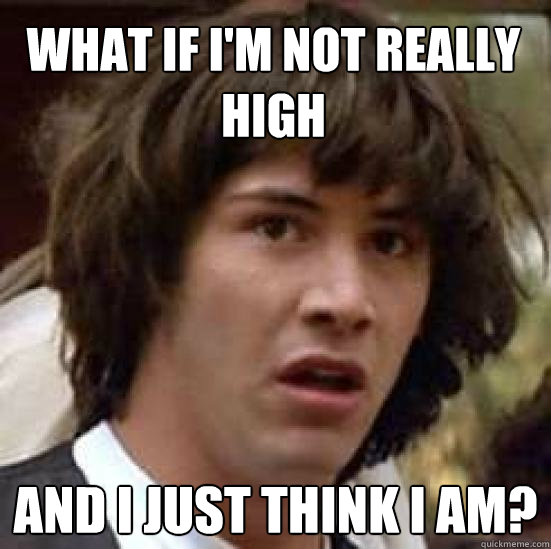 What if i'm not really high And i just think i am?  conspiracy keanu